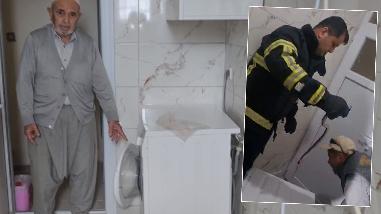 Ankara'nın bir ilçesinde 'yılan' paniği! Her yerden çıkıyorlar, boyları 2 metre... Ankara'nın bir ilçesinde 'yılan' paniği! Her yerden çıkıyorlar, boyları 2 metre... - 1. Resim