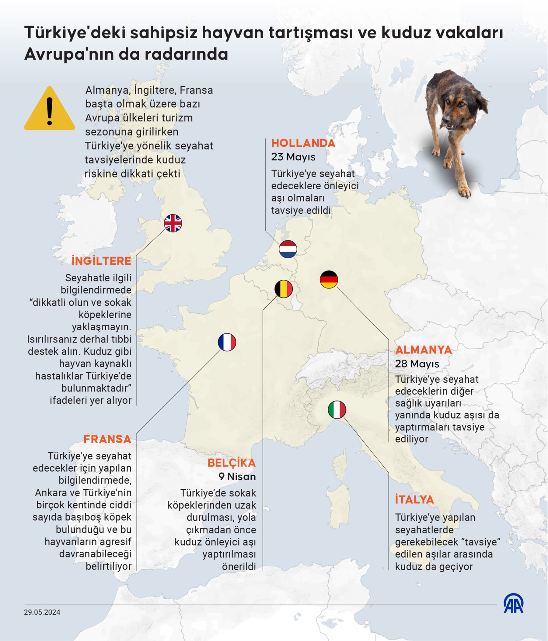 Türkiye'deki sahipsiz hayvan tartışması ve kuduz vakaları Avrupa'nın radarında Türkiye'deki sahipsiz hayvan tartışması ve kuduz vakaları Avrupa'nın radarında - 1. Resim