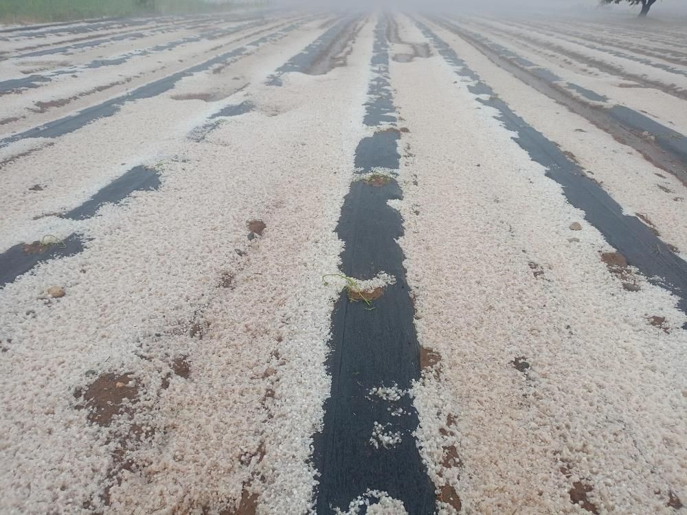 Dolu yağışı ekili arazileri beyaza b&uuml;r&uuml;d&uuml; - 2. Resim