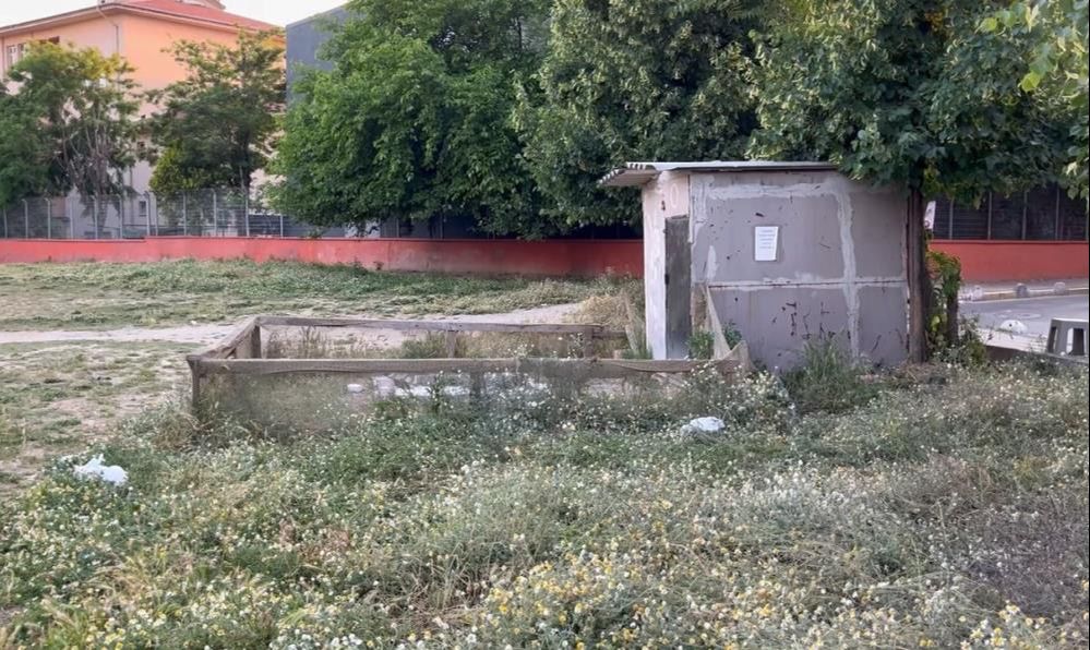 Maskeli şahıslar Küçükçekmece'de kurşun yağdırdı! Güvercin besleyen kişi ağır yaralandı - 1. Resim