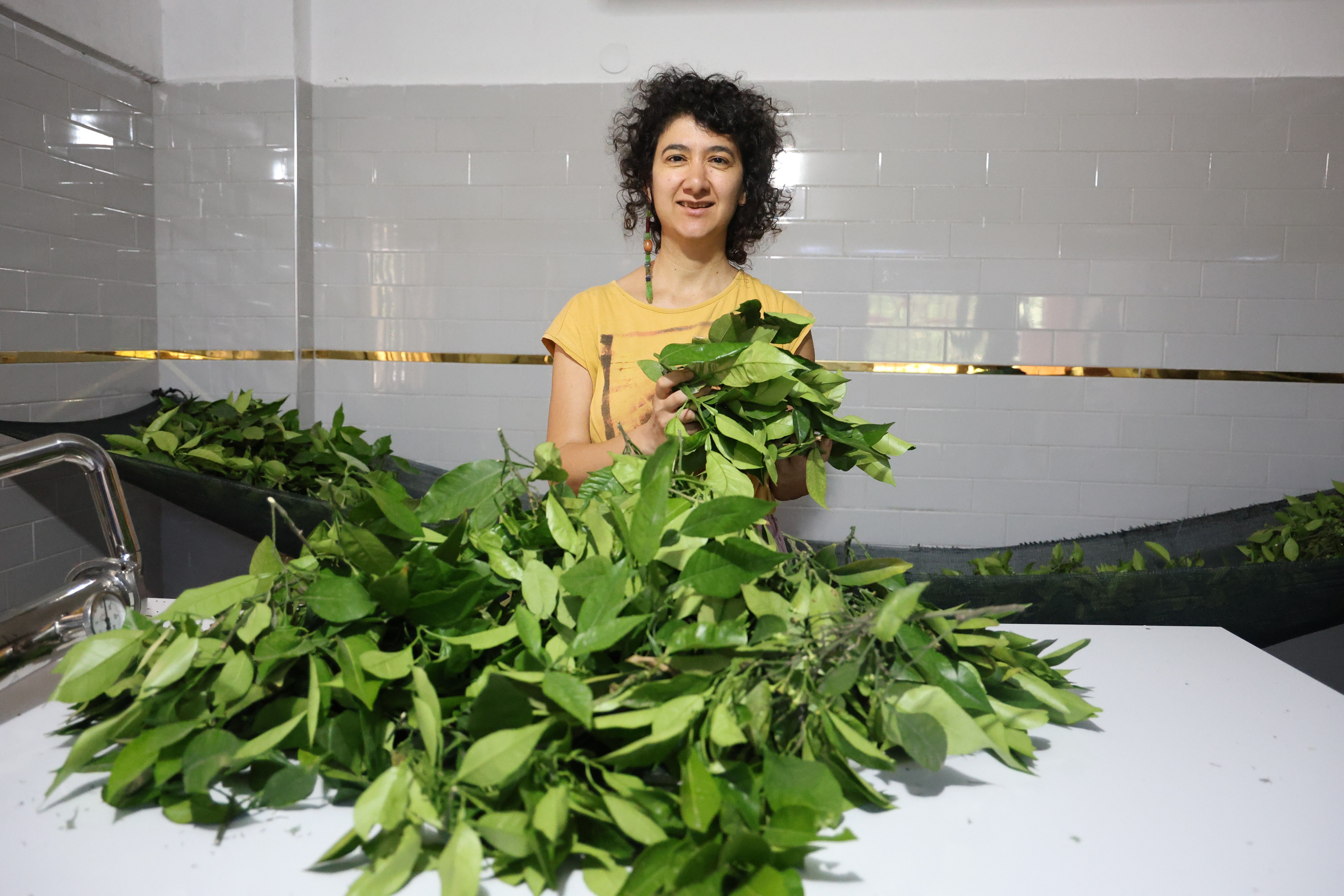 10 yıllık mesleğini bırakıp devlet desteğiyle kendi işini kurdu! Tanesini 300 liraya satıyor - 2. Resim