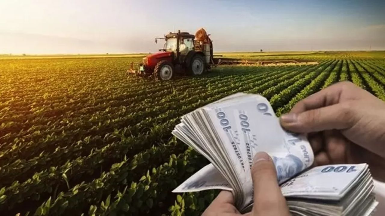 Çiftçiler dikkat, hesaplarınızı kontrol edin! Tarımsal destek ödemeleri bugün hesapta - Ekonomi