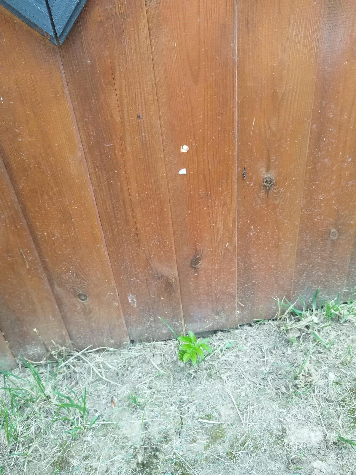 Mangal yaparken vurulan adamın hayatı alt üst oldu Mangal yaparken vurulan adamın hayatı alt üst oldu - 3. Resim