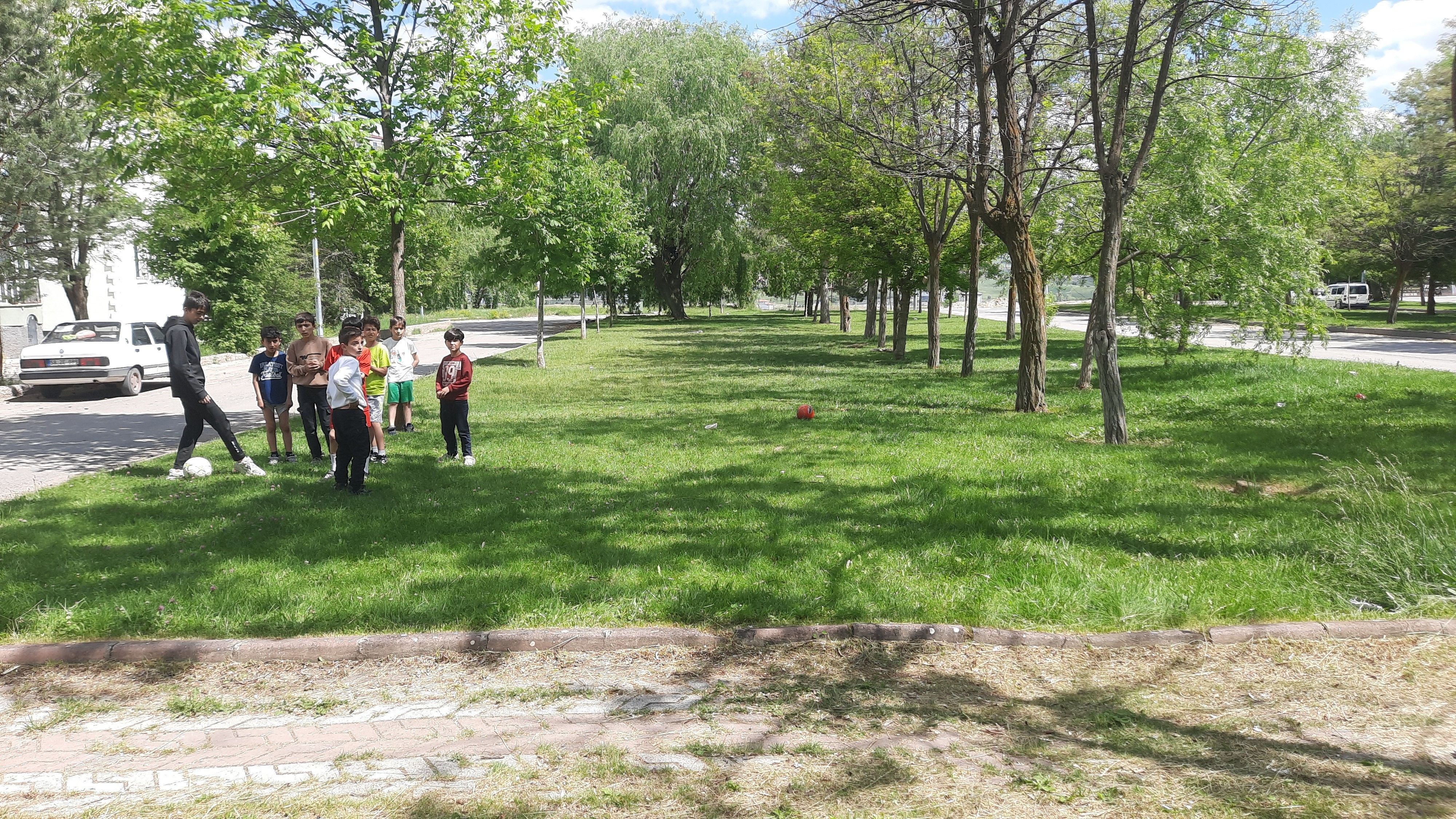 Başıboş köpeklere yem oluyordu! 13 yaşındaki çocuk canını zor kurtardı - 2. Resim