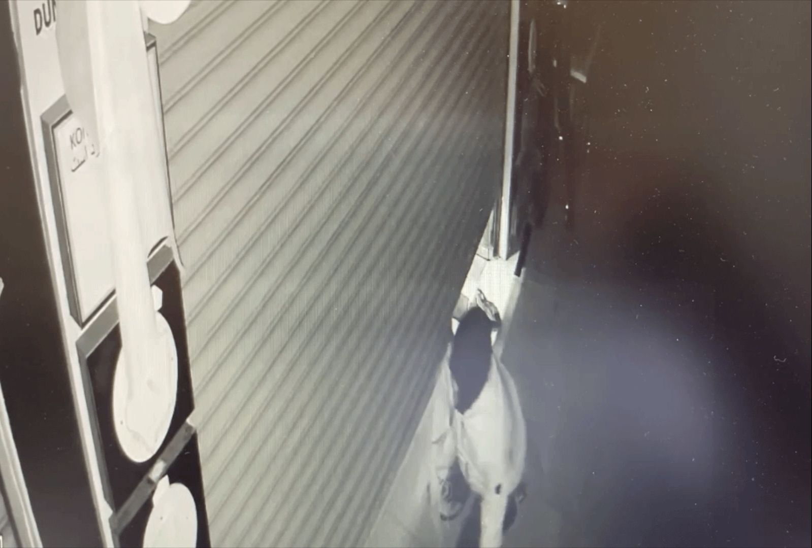 Çelik kasa hırsızlarına eş zamanlı operasyon! 11 şüpheli yakalandı - 1. Resim