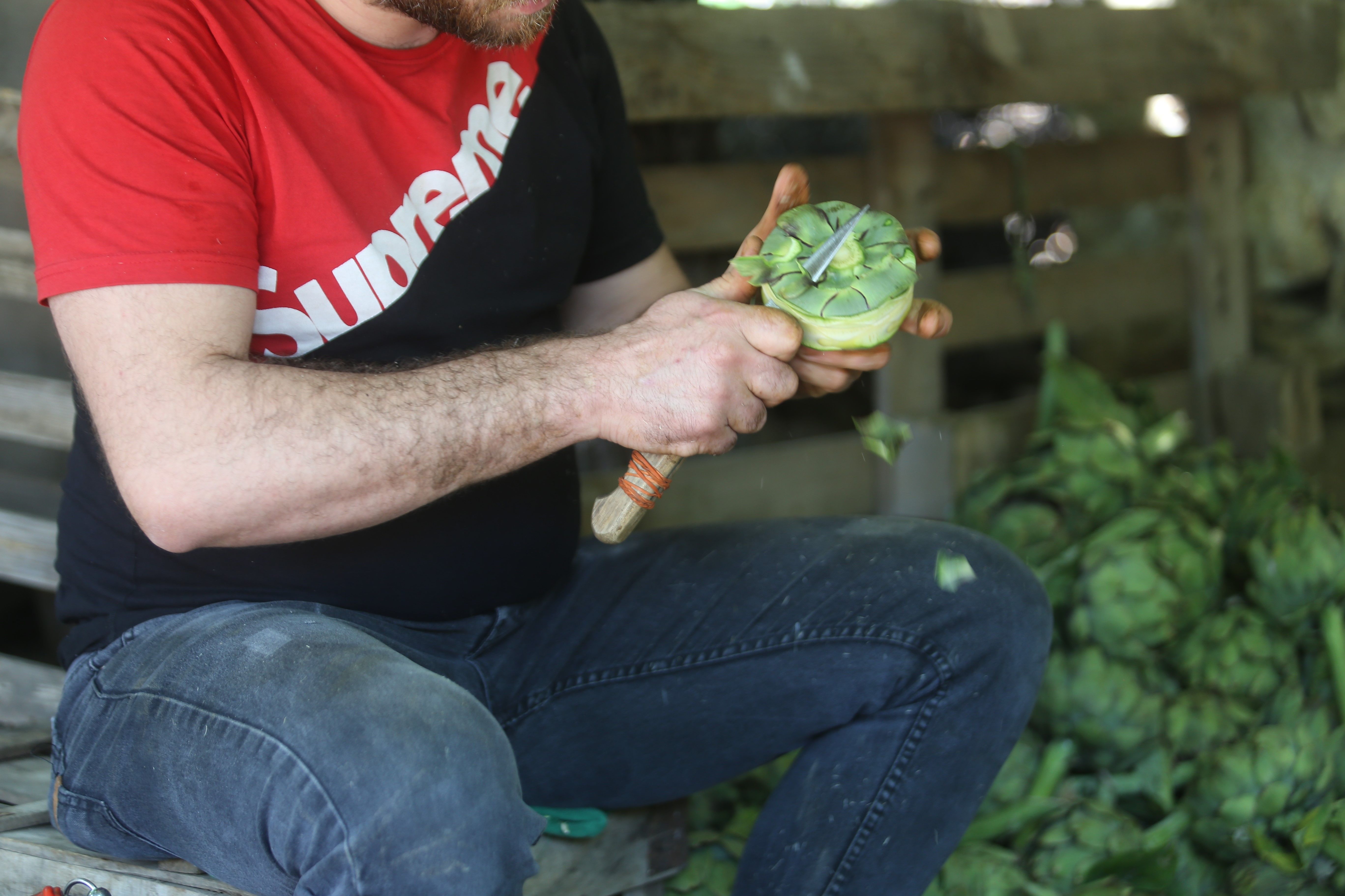 İklim krizi enginarı da vurdu: Rekoltesi d&uuml;şt&uuml;, fiyatı iki kat arttı - 1. Resim