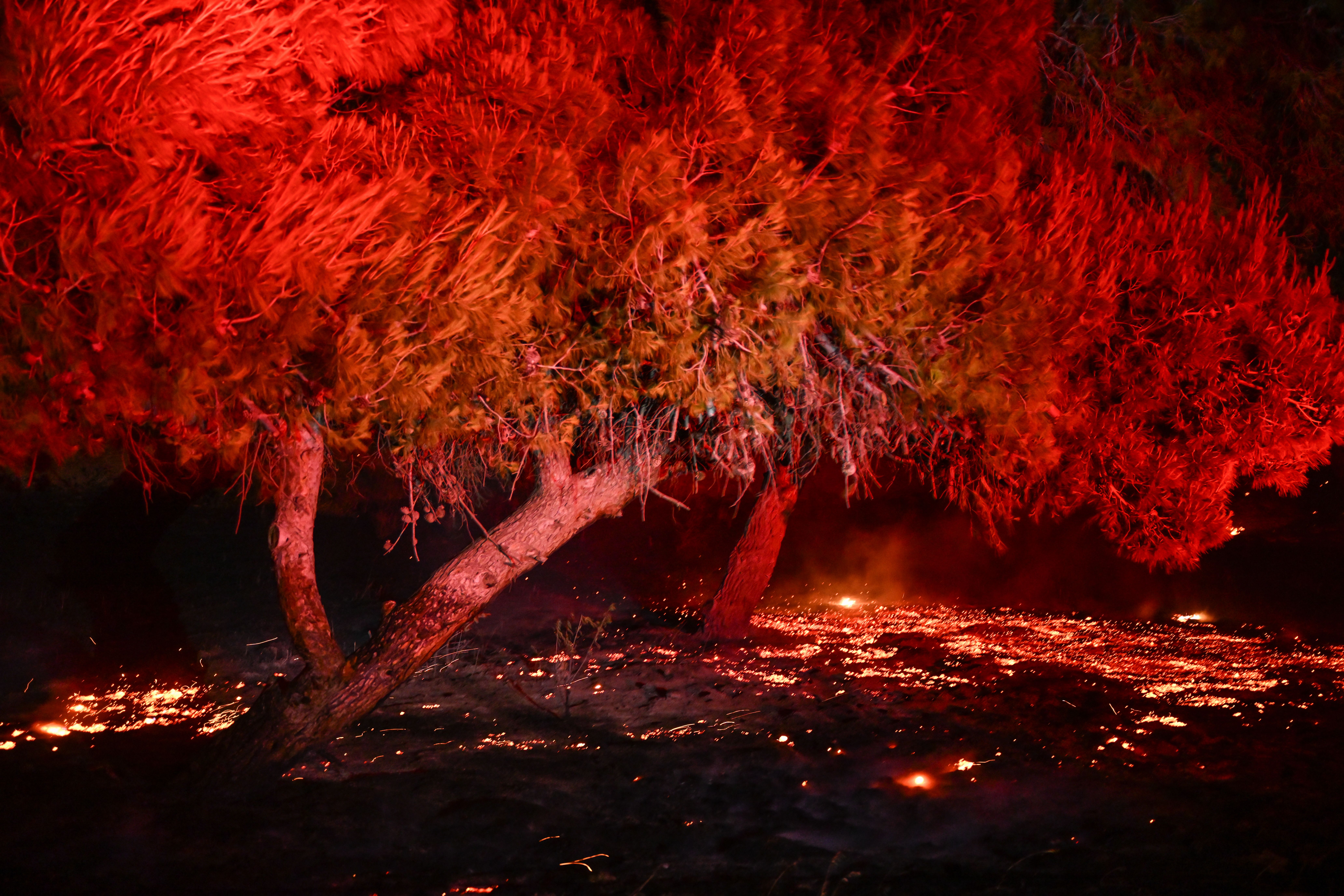 ABD Kaliforniya'da çıkan yangın büyüyor! Siviller için tahliye kararı - 1. Resim