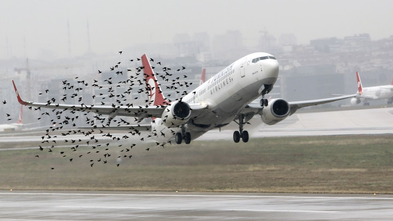 AK Parti’den yeni kanun teklifi: Havalimanlarında kuş uçurtulmayacak
