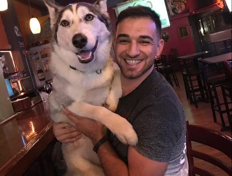 8 yıldır besledikleri husky cinsi köpek 6 aylık bebeklerini parçalayarak öldürdü - 3. Resim