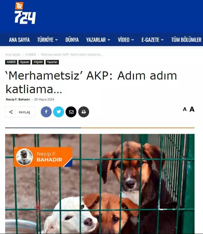 Başıboş köpek sorununa FETÖ eli! Kara propaganda faaliyeti başladı Başıboş köpek sorununa FETÖ eli! Kara propaganda faaliyeti başladı - 3. Resim