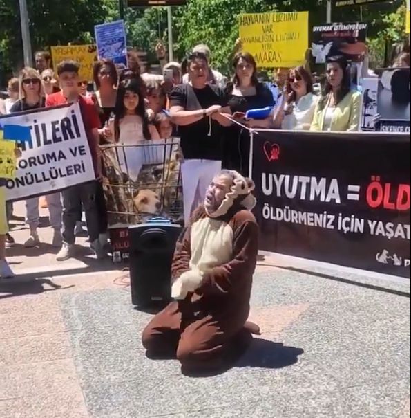 Kahramanmaraş'ta 'köpek kostümlü' gösteri! 'Saldırgan köpek sorunu'na böyle çözüm aradı - 1. Resim