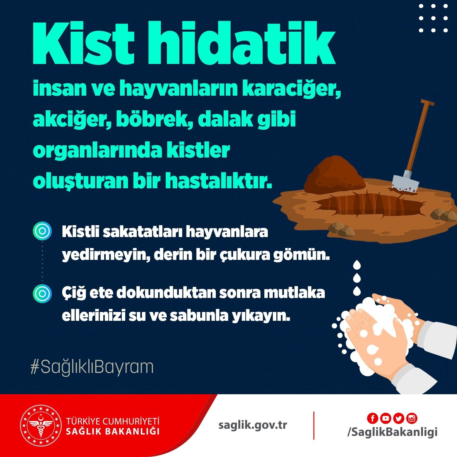 Kurban Bayramı'nda bu hastalığa dikkat! Köpeklerde üreyen 'Kist Hidatik' paraziti hayvanları ara konak olarak kullanıyor - 1. Resim