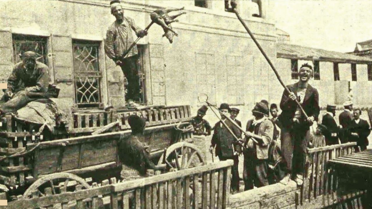 Ne olacak bu köpekler?