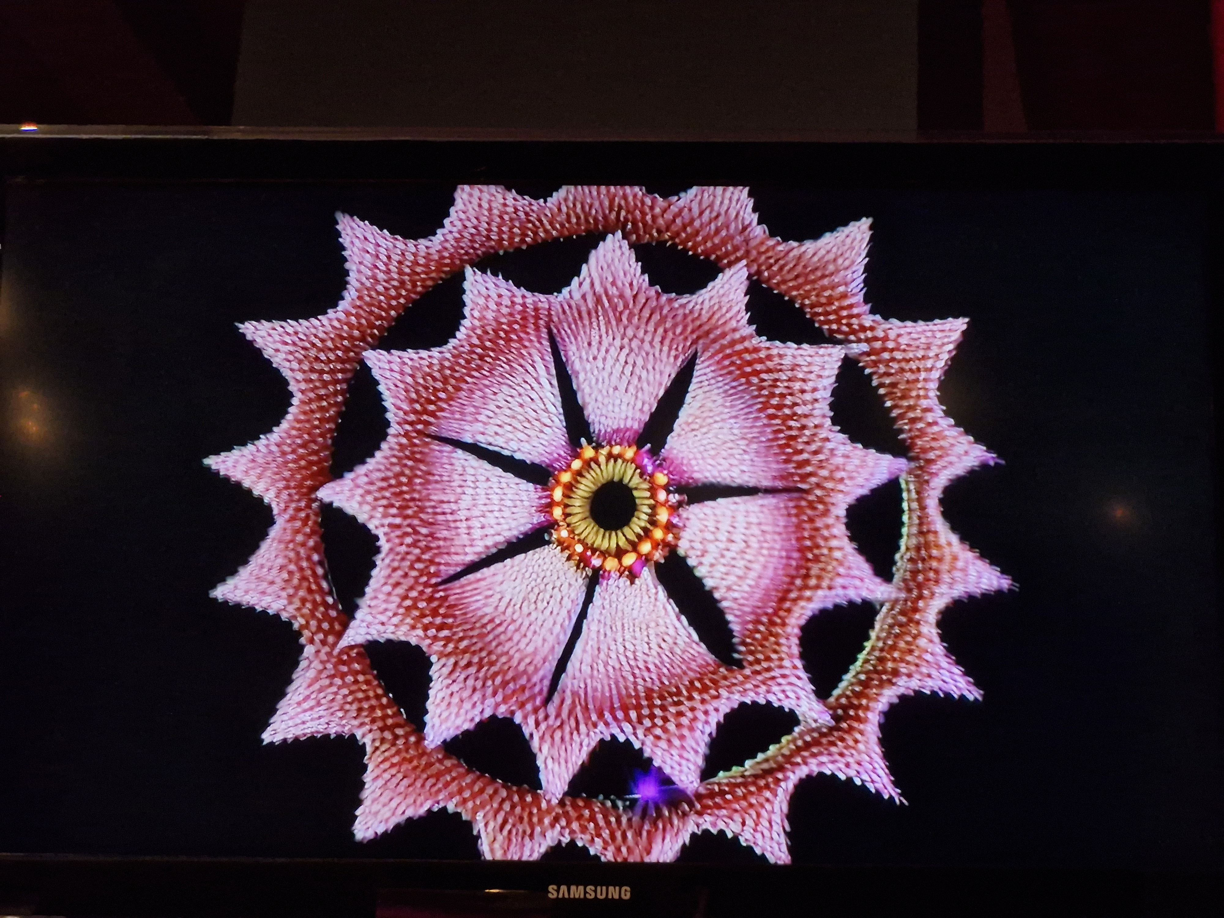 Yapay zekâ iğne oyası “dokudu” - 1. Resim