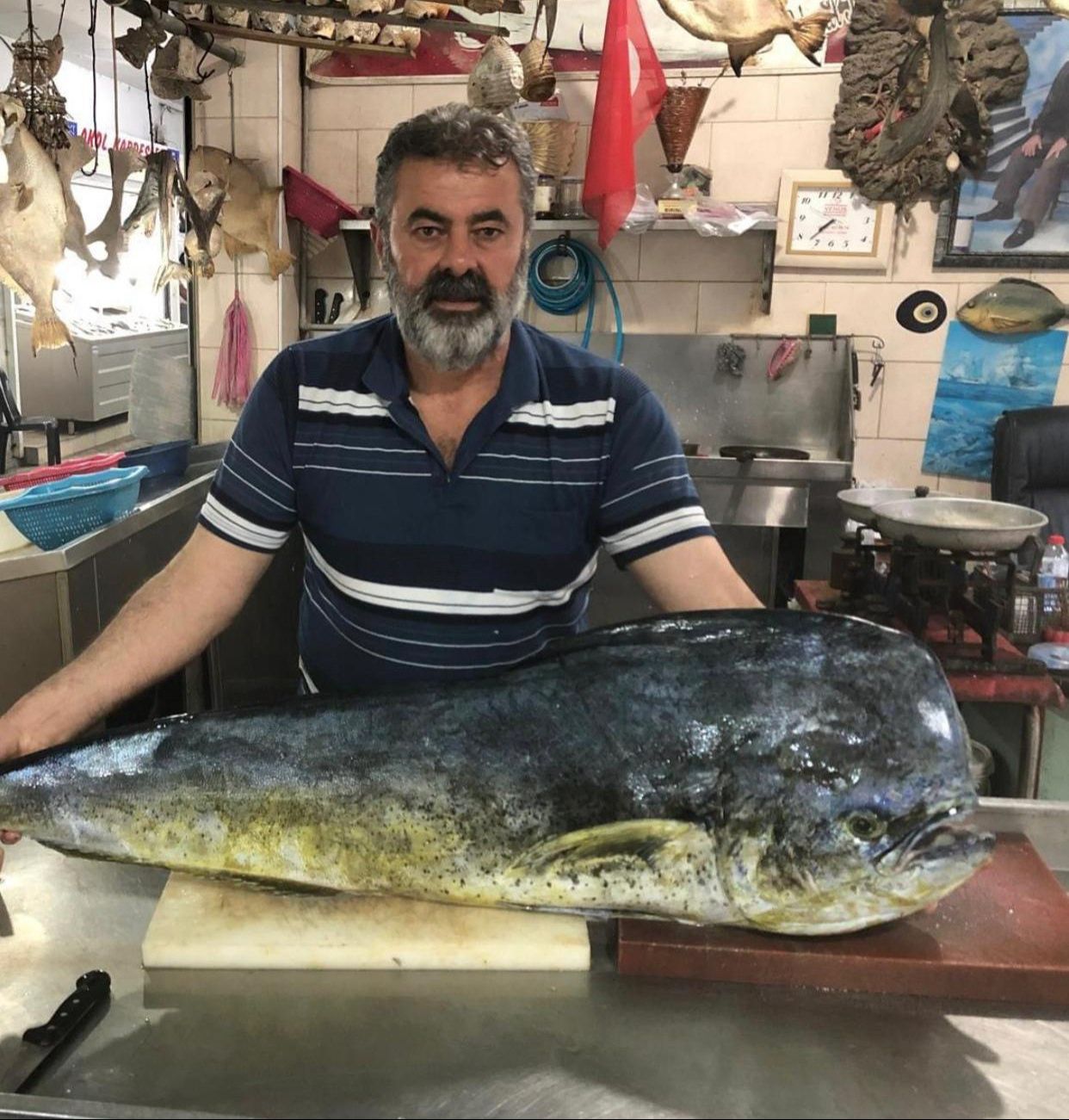 Adanalı balıkçıların 'lambuka' keyfi! Dev balığın kilosu şaşkına çevirdi - 1. Resim