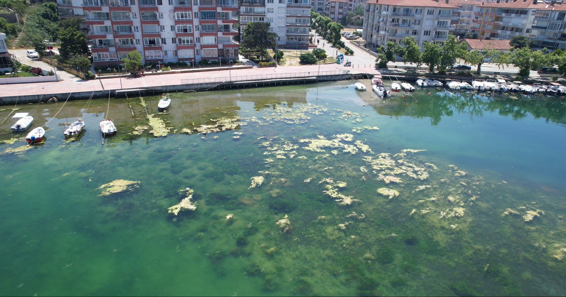 Marmara'nın İncisi vatandaşı isyan ettirdi: Acilleri dolduran felaket! - 3. Resim