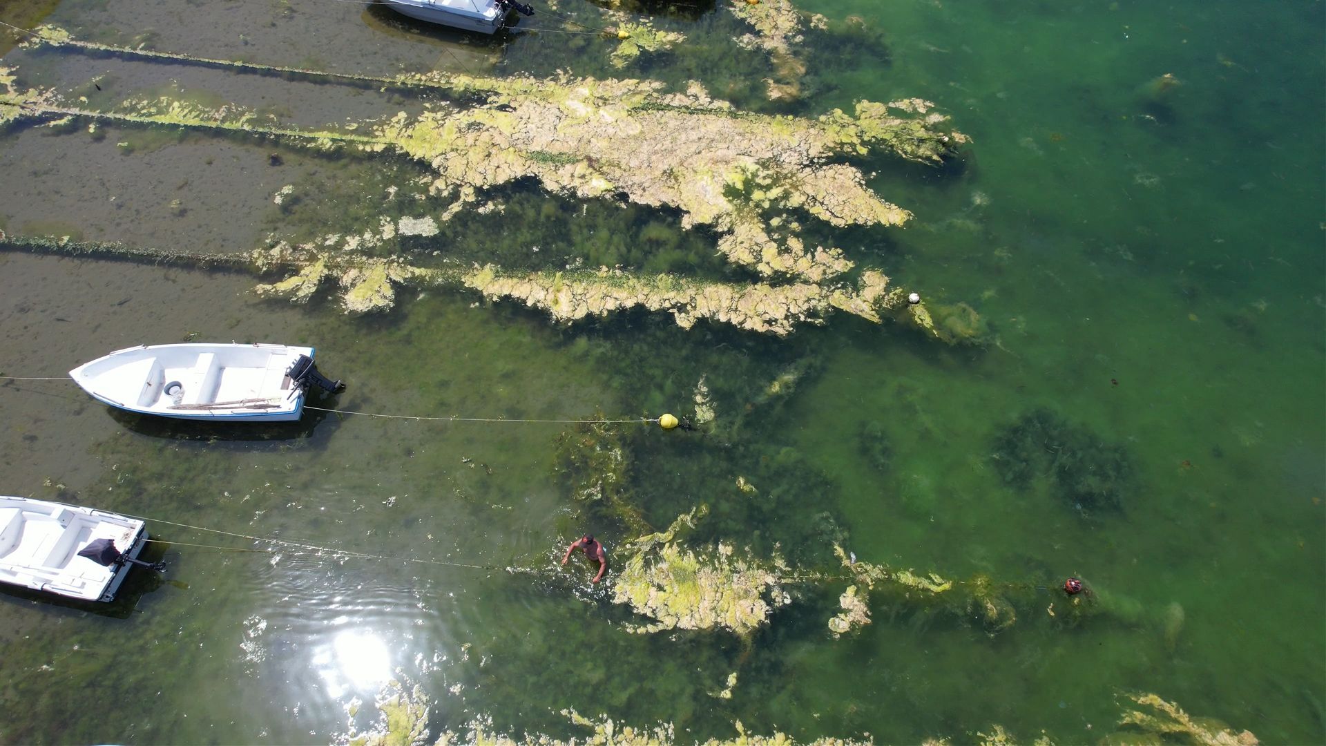 Marmara'nın İncisi vatandaşı isyan ettirdi: Acilleri dolduran felaket! - 2. Resim