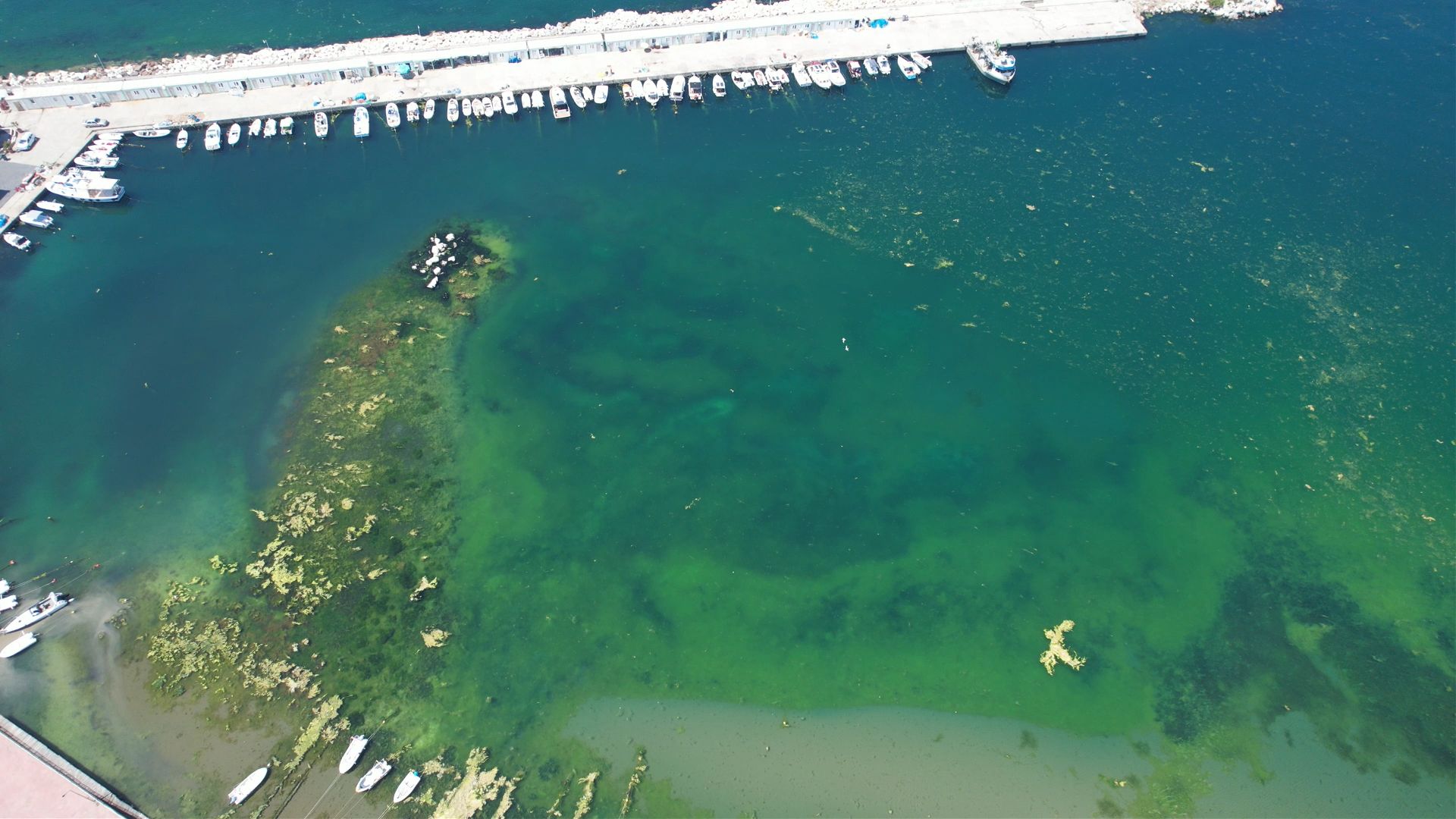 Marmara'nın İncisi vatandaşı isyan ettirdi: Acilleri dolduran felaket! - 4. Resim