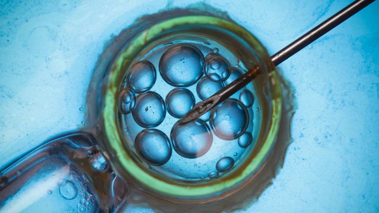 Yapay zekâ bebekleri geliyor! Tüp bebeği robotlar yapacak - 2. Resim