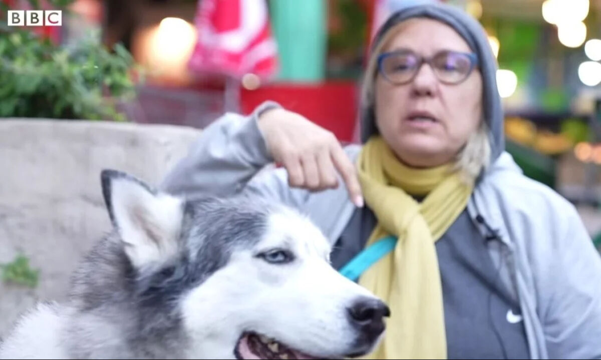 BBC, başıboş köpekler üzerinden Türkiye’yi hedef aldı! ‘Uyutulma’ önerisini çarpıttı - 1. Resim