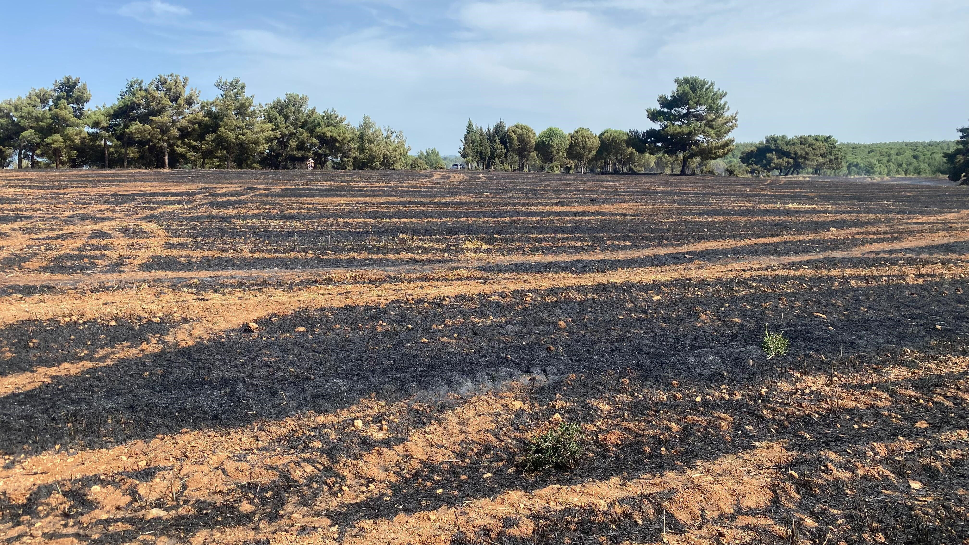 Çanakkale alev alev! Gökçalı söndü, Türkmenli yandı Çanakkale alev alev! Gökçalı söndü, Türkmenli yandı - 1. Resim