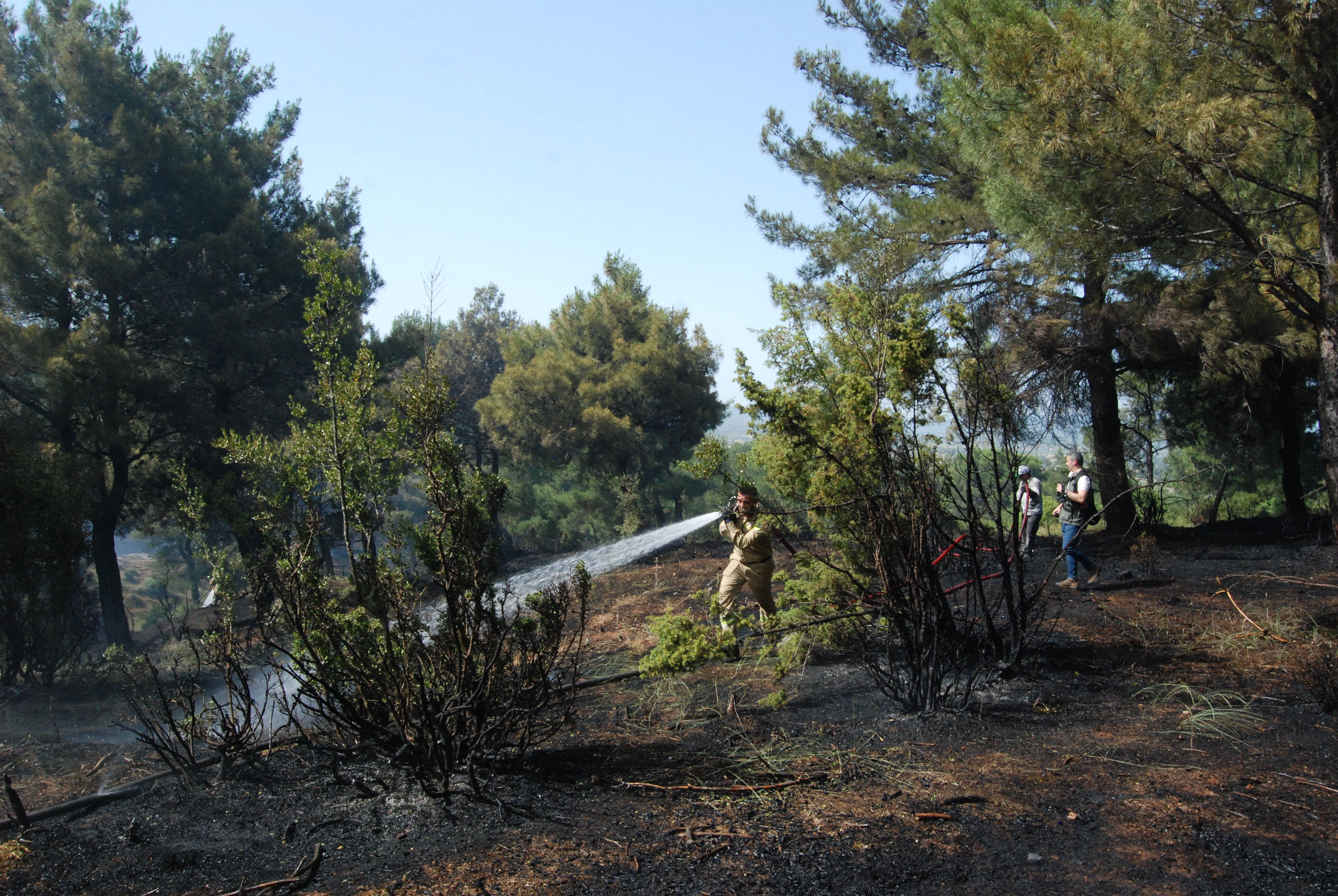 Çanakkale alev alev! Gökçalı söndü, Türkmenli yandı Çanakkale alev alev! Gökçalı söndü, Türkmenli yandı - 3. Resim