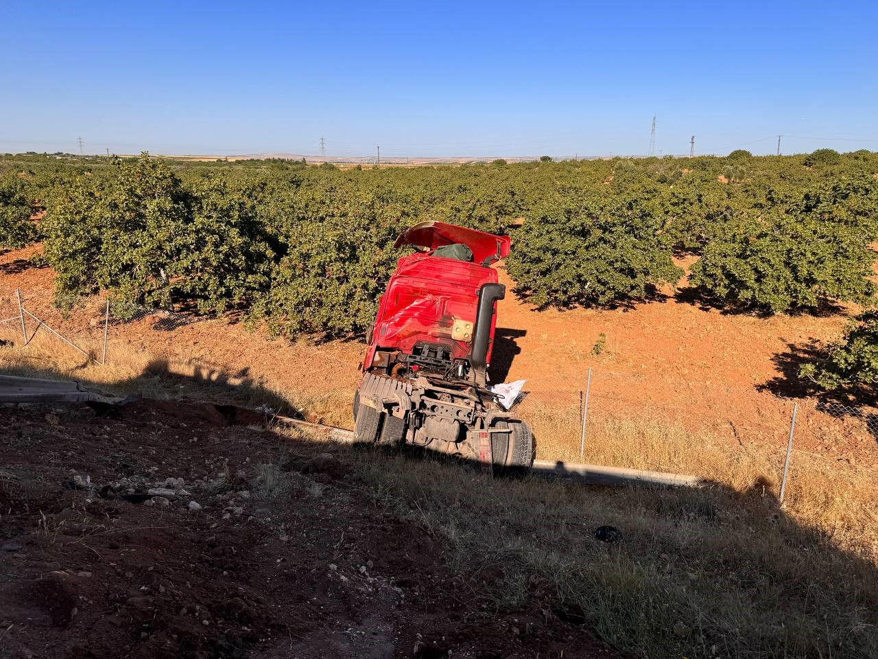 Şanlıurfa'da kurbanlıkları taşıyan tır ile traktör çarpıştı: Boğalar araziye dağıldı, o anlar havadan görüntülendi - 2. Resim