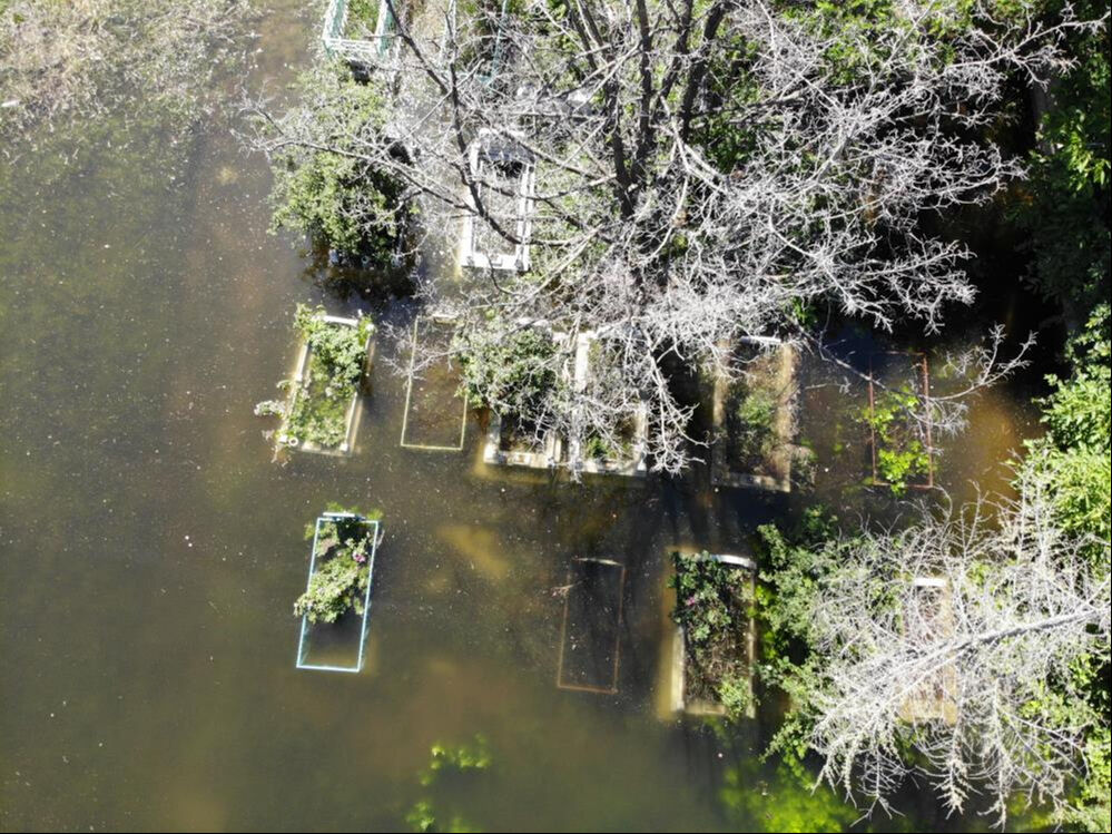 8 senedir &ouml;l&uuml;leri sular altında! Mahalleli isyan etti - 4. Resim