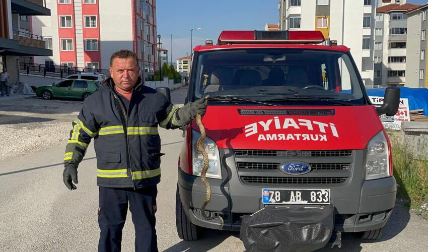 Apartmana giren yılan korkuttu! Gören kaçacak delik aradı - 1. Resim