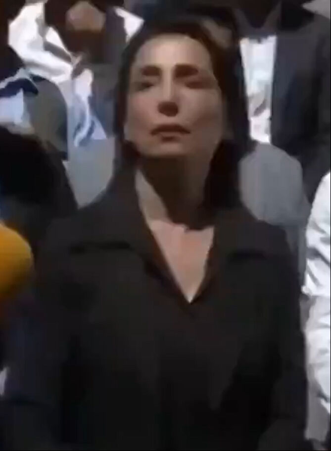 DEM'li Eş Başkan T&uuml;lay Hatimoğulları'ndan T&uuml;rk polisine &ccedil;irkin benzetme! - 1. Resim
