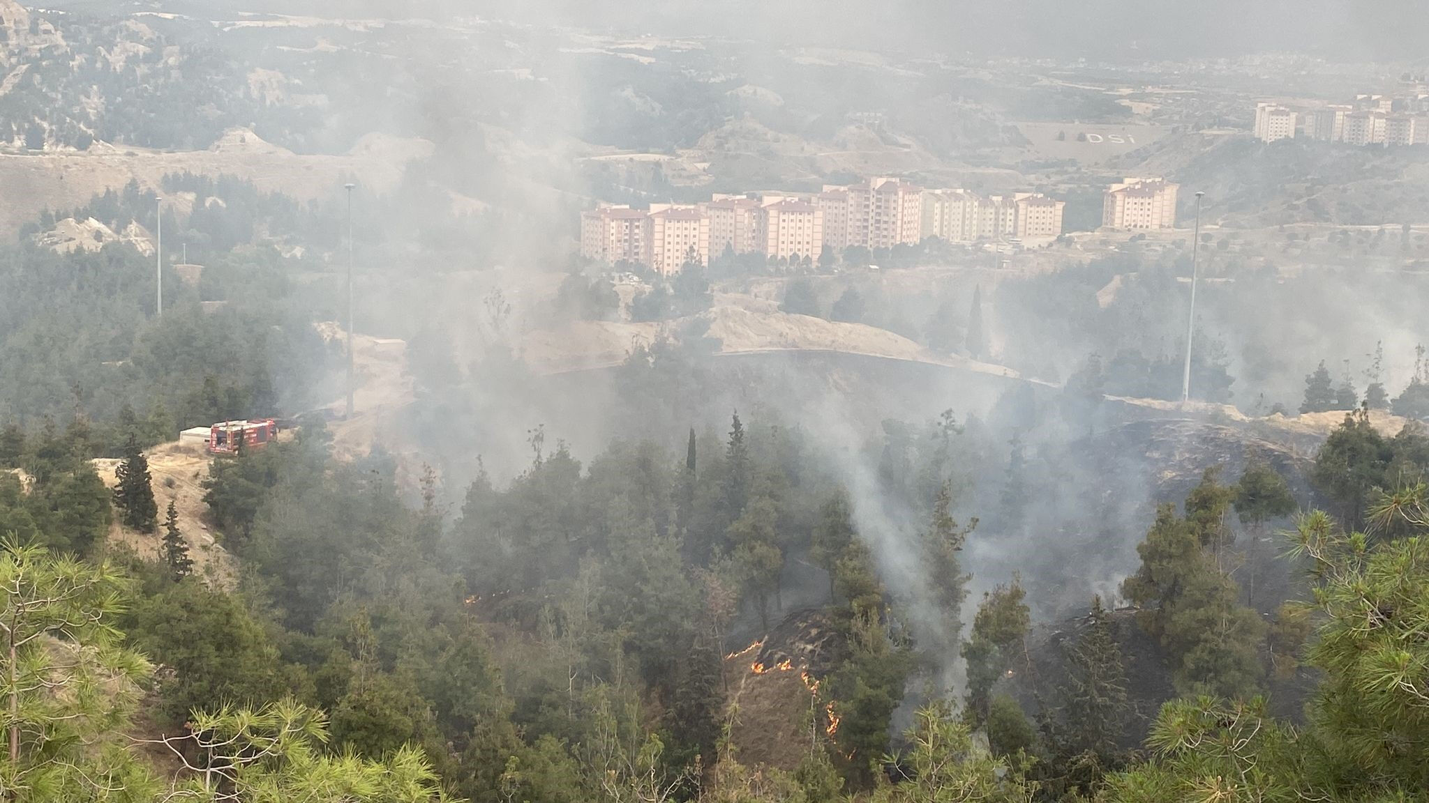 Denizli'de orman yangını! Alevler yerleşim yerlerine ilerliyor - 4. Resim