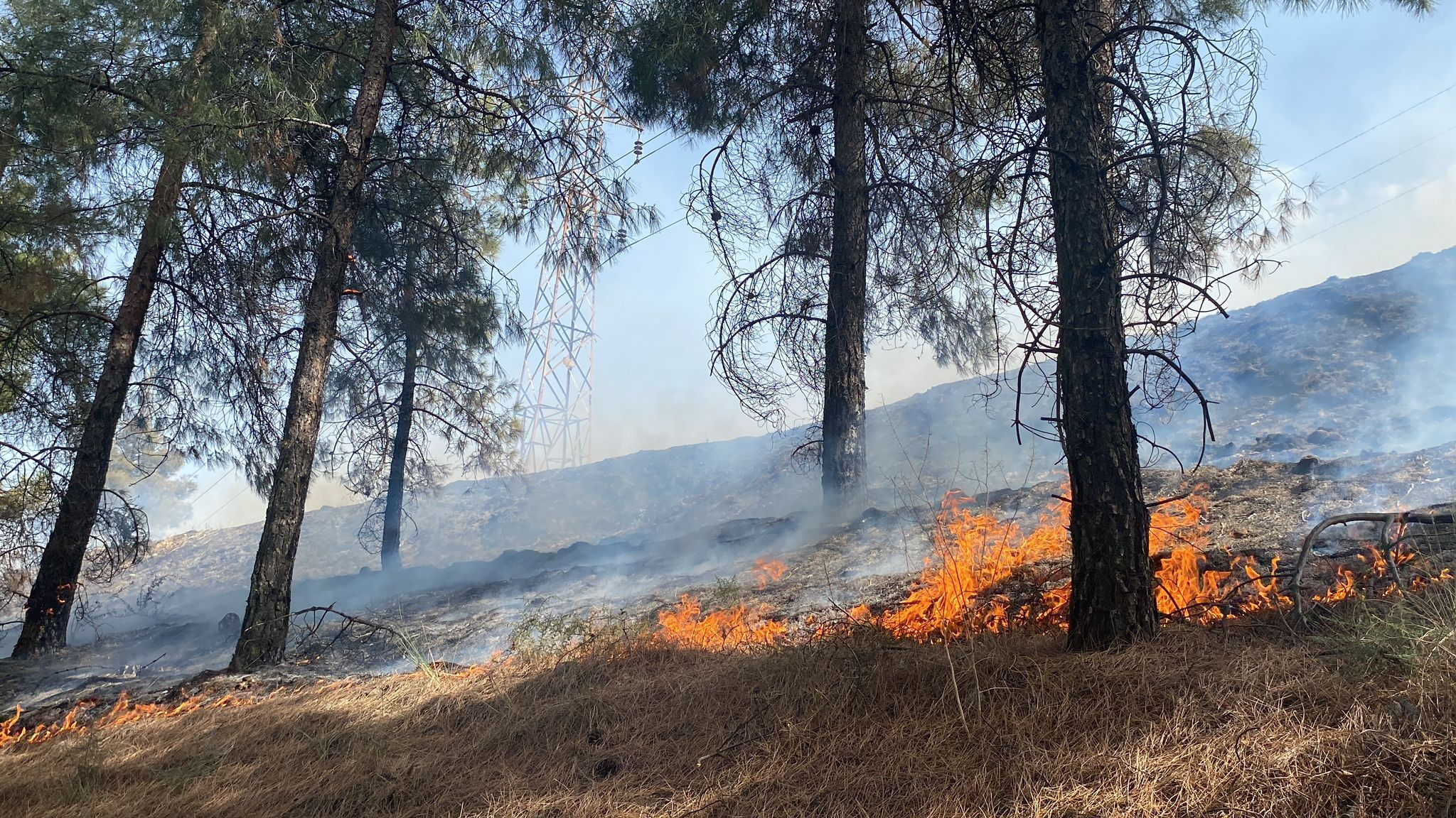 Denizli'de orman yangını! Hava desteği istendi, evlere ulaşmak üzere - 3. Resim