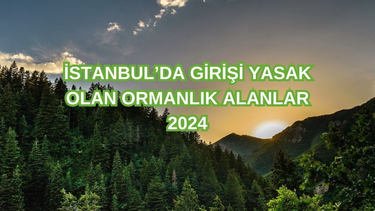 İstanbul Şamlar ve Polonezköy Tabiat Parkları’na giriş orman yasakları sebebiyle 15 Ekim’e kadar yasaklandı