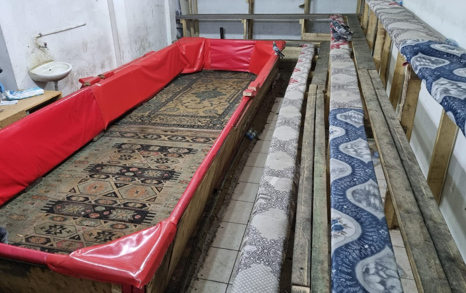 Kırşehir'de bir depoda horoz ringine baskın! 15 horoza el konuldu - 2. Resim