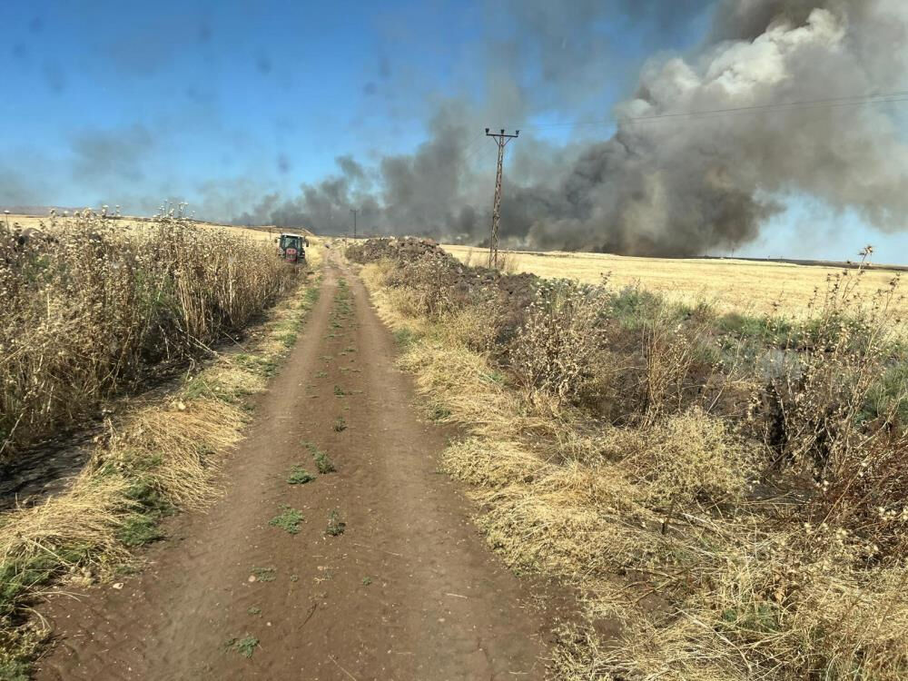 Mardin'de çıkan yangınlar tarlaya sıçradı! Bin 700 dönümlük buğday kül oldu Mardin'de çıkan yangınlar tarlaya sıçradı! Bin 700 dönümlük buğday kül oldu - 1. Resim