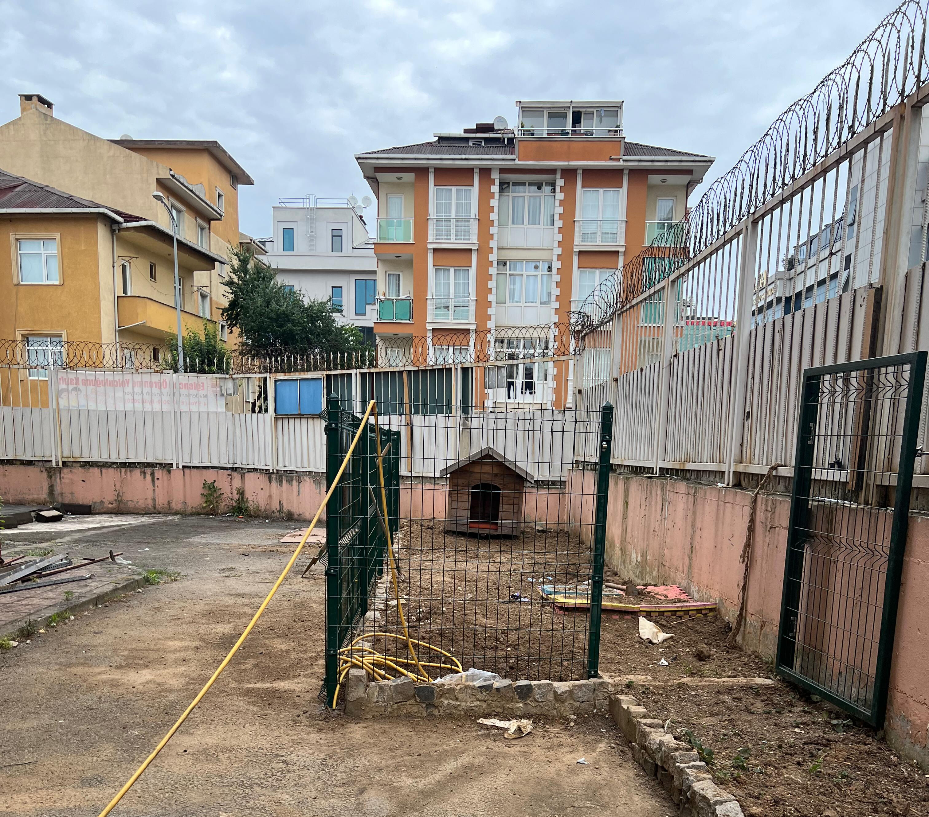 Okul bahçesindeki köpekler öğrencilerin kabusu oldu: Hastalık yayılmasından korkuyoruz! - 4. Resim