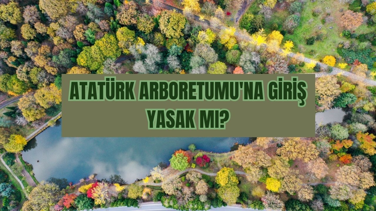 Atatürk Arboretumu, girişi yasak olan ormanlar listesinde yer almıyor 2024