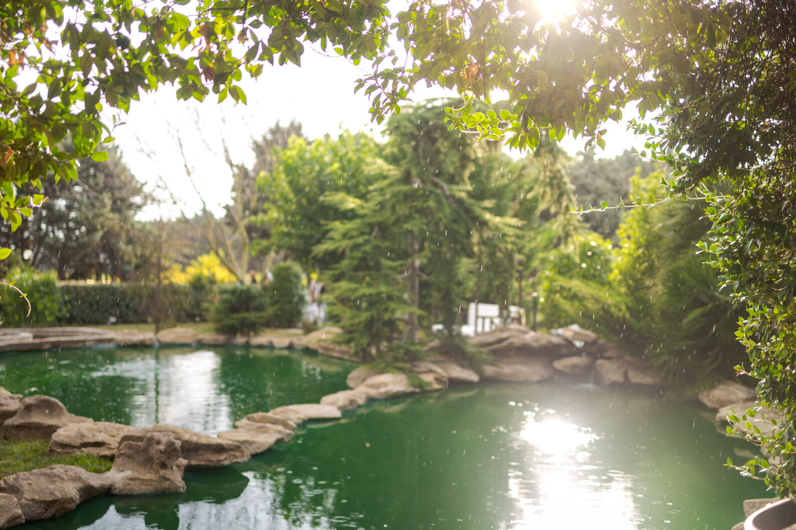 "Modern Ruhların Sığınağı" Grandma’s Wonderland misafirlerini bekliyor "Modern Ruhların Sığınağı" Grandma’s Wonderland misafirlerini bekliyor - 1. Resim