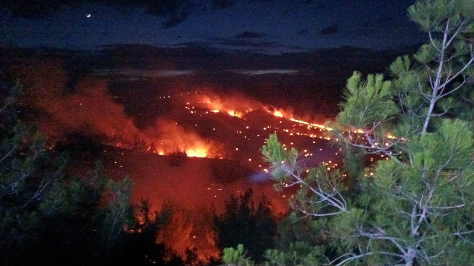 Alevler bu kez Adana'da yükseldi: Söğütlü'de orman yangını! - 2. Resim