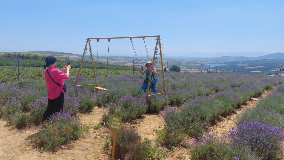 İstanbul'un yanı başında mor turizm başladı - 1. Resim