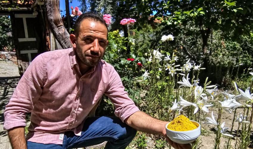 Kilosu 175 bin TL’den satılıyor! Karaciğeri yeniliyor, yaprakları doğal antibiyotik - 2. Resim