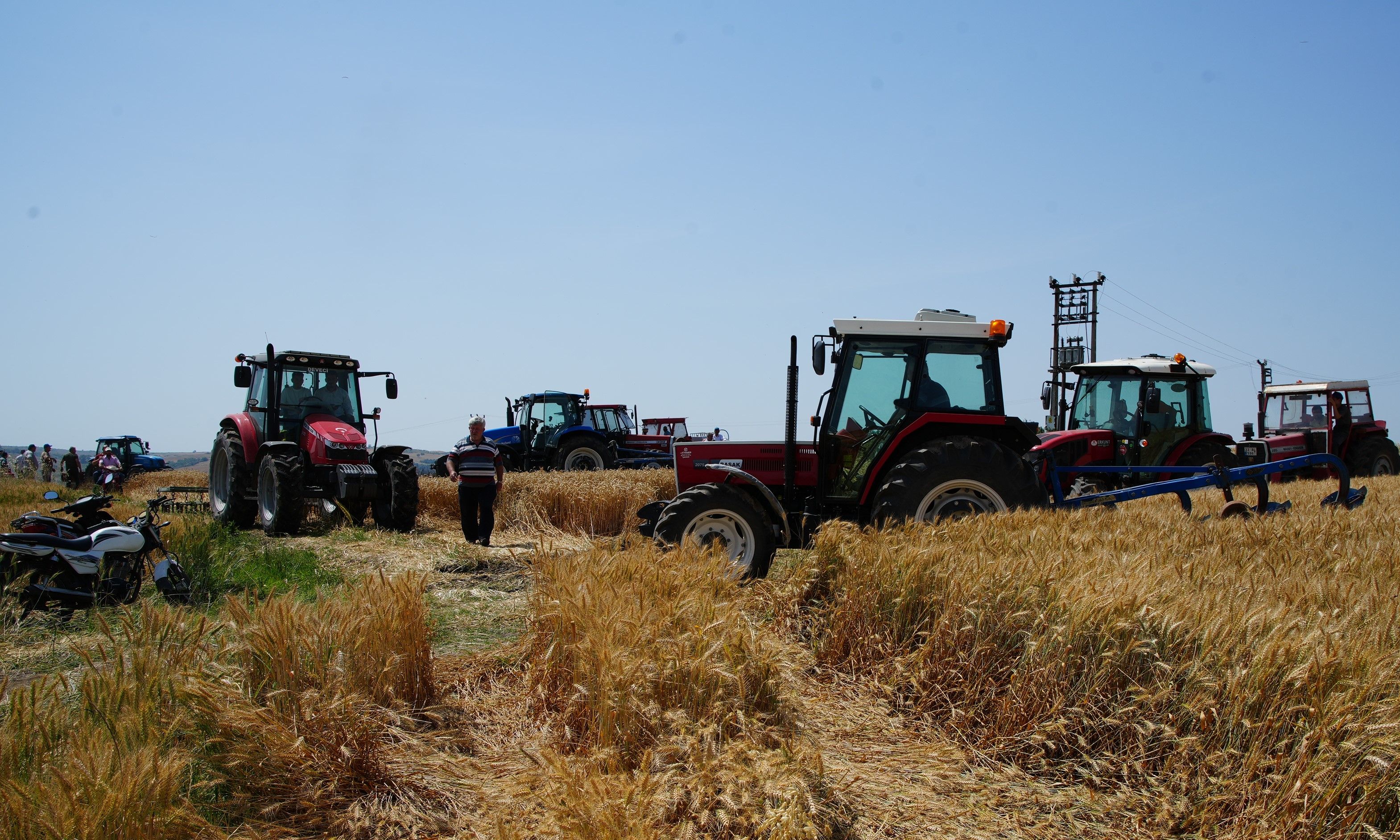 Saksağan yangın çıkardı! Köylüler seferber oldu - 1. Resim
