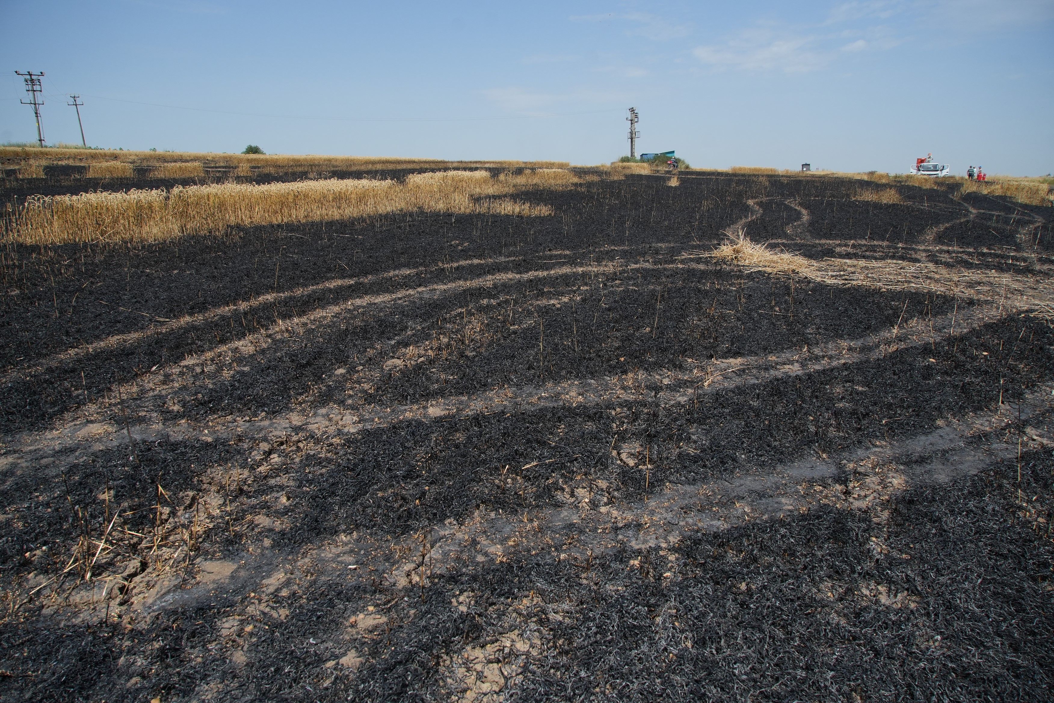 Saksağan yangın çıkardı! Köylüler seferber oldu - 2. Resim