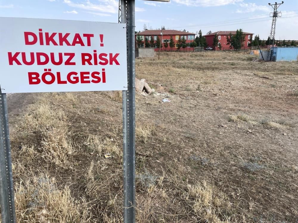 Şanlıurfa'da kuduz köpek saldırıları hayatları riske atıyor - 2. Resim