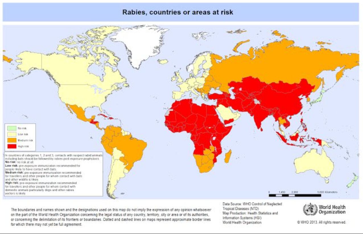 DSÖ'den kuduz sorununun çözümü için 'sorumluluk alınmalı' çağrısı! Türkiye riskli ülkeler listesinde - 2. Resim