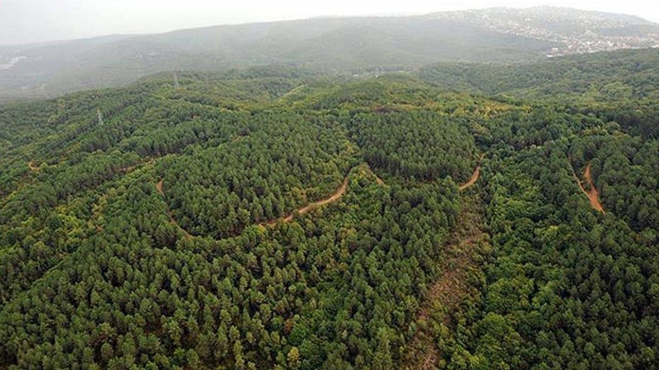 Edirne&#039;de ormanlık alanlara giriş kısıtlaması