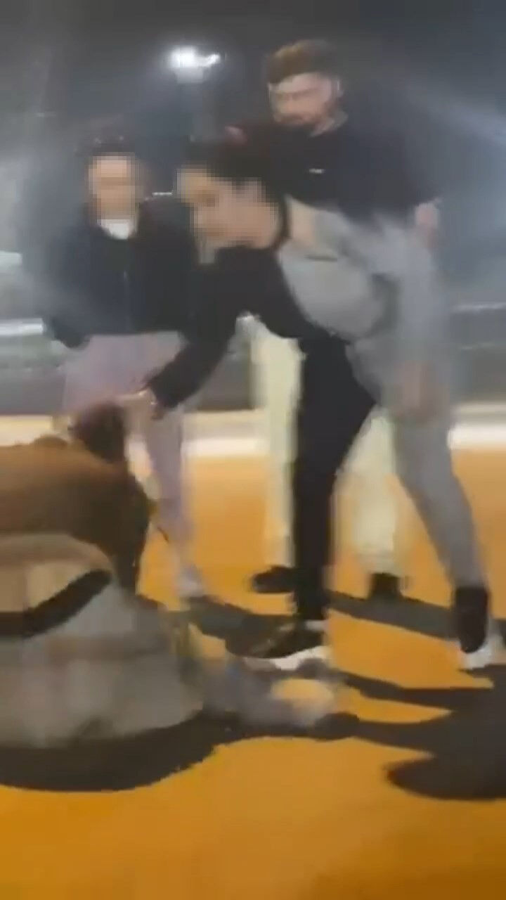 Kadın maganda genç kızlara dehşeti yaşattı: Birini evde, diğerini sokakta darp etti Kadın maganda genç kızlara dehşeti yaşattı: Birini evde, diğerini sokakta darp etti - 1. Resim