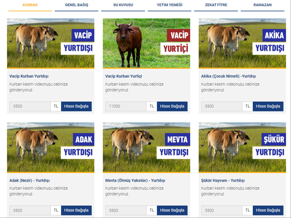 Kurbanlıklar hangi vasıflara göre seçiliyor? İhlas Vakfı Mütevelli Heyeti Başkanı Mahmut Kemal Aydın detaylarıyla anlattı Kurbanlıklar hangi vasıflara göre seçiliyor? İhlas Vakfı Mütevelli Heyeti Başkanı Mahmut Kemal Aydın detaylarıyla anlattı - 1. Resim