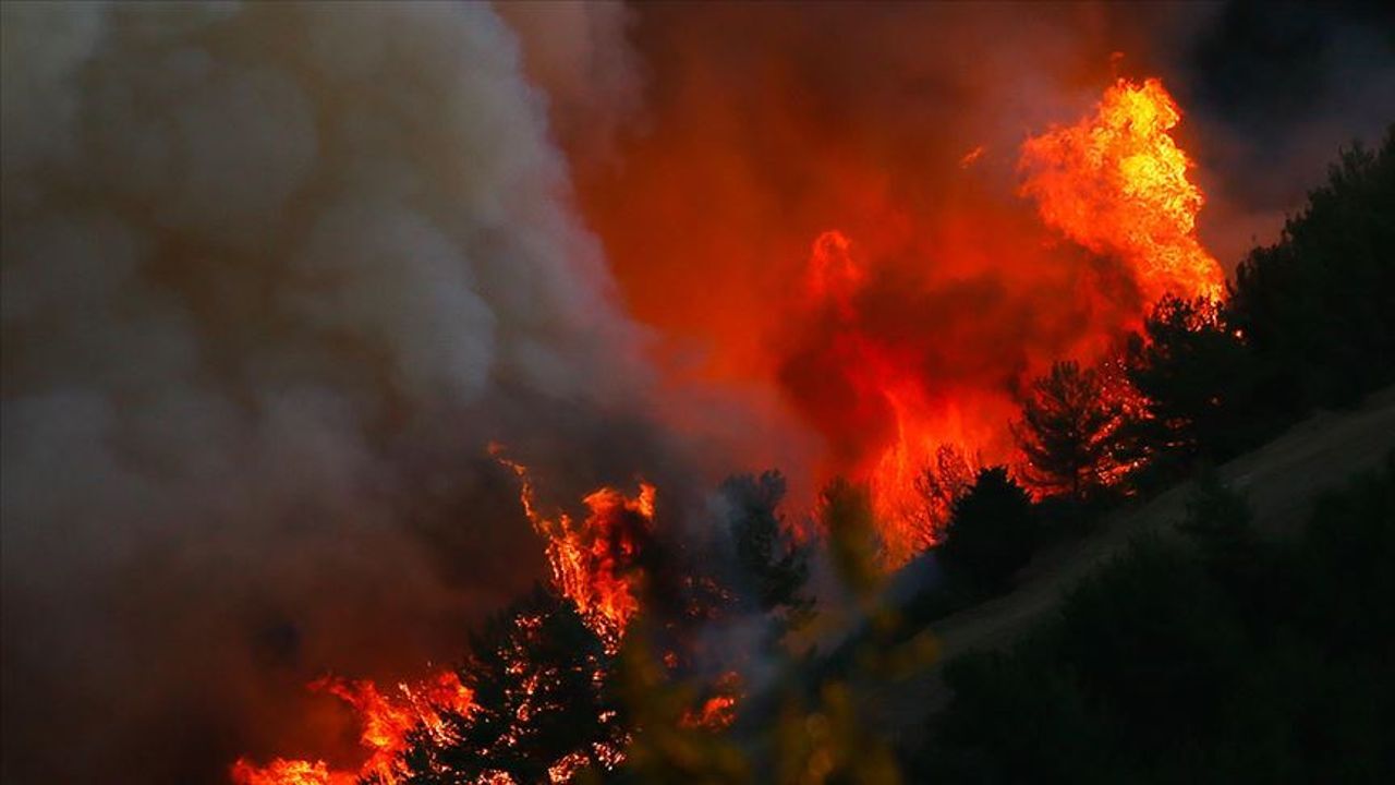 5 ilde ilde orman yangını! Müdahaleler sürüyor, yerleşim yerleri risk altında - Gündem