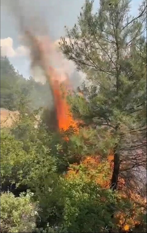 6 ilde orman yangını! Müdahaleler sürüyor, yerleşim yerleri risk altında Pek çok ilde orman yangını! Yerleşim yerleri risk altında - 3. Resim